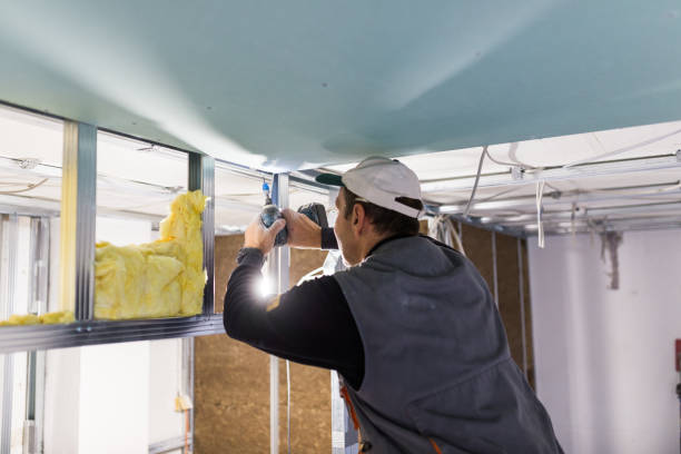 Best Insulation for Specific Applications in Reserve, LA