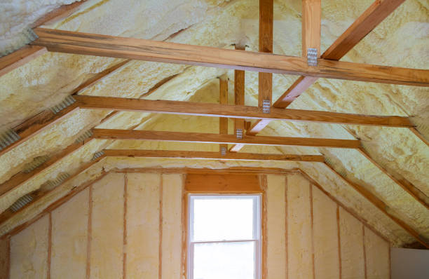 Best Eco-Friendly Insulation in Reserve, LA