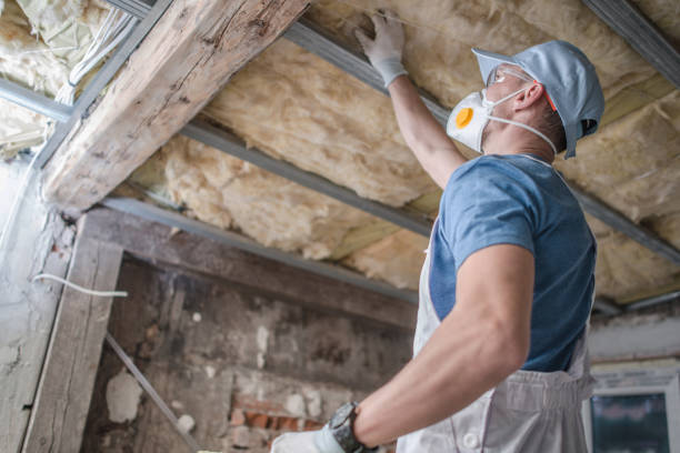 Best Eco-Friendly Insulation in Reserve, LA