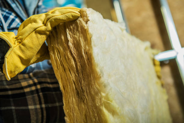 Best Spray Foam Insulation in Reserve, LA