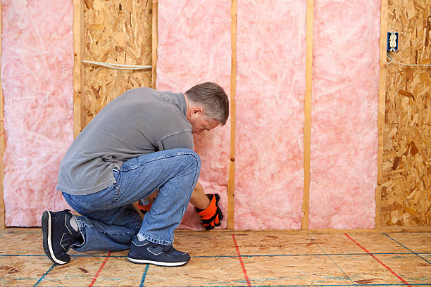 Best Spray Foam Insulation in Reserve, LA