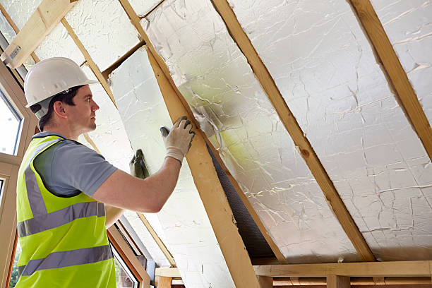 Best Cellulose Insulation in Reserve, LA