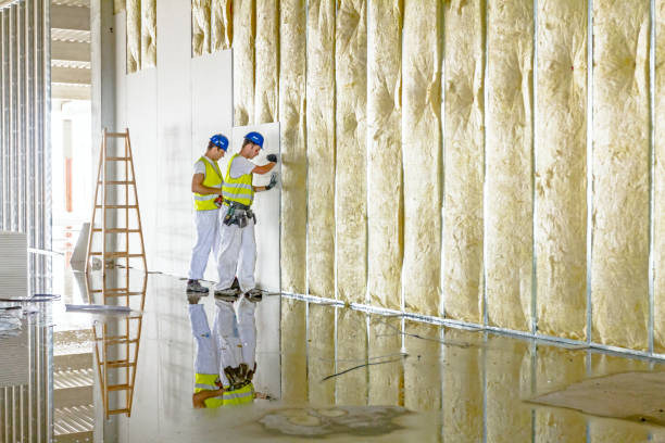 Best Fiberglass Insulation in Reserve, LA